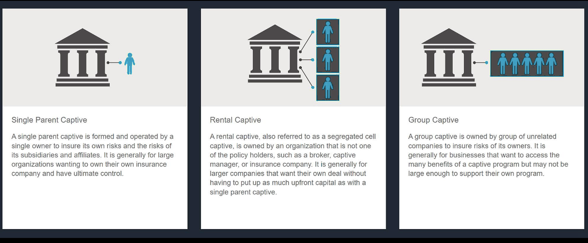 Comparison of captive structures: single parent captive, rental captive and group captive