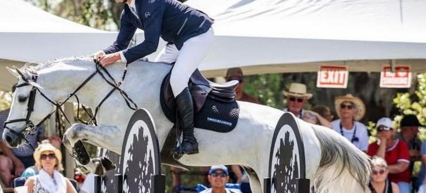 Rider and grey horse clearing a show-jumping fence